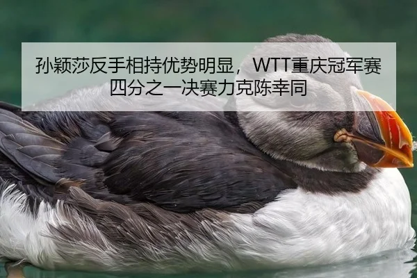 孙颖莎反手相持优势明显，WTT重庆冠军赛四分之一决赛力克陈幸同